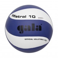 Мяч волейбольный GALA Mistral 10 тренировочный клееный (PU) BV 5661 S Сине-белый