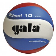 Мяч волейбольный GALA School 10 тренировочный клееный (PU) BV 5711 S Бело-сине-красный